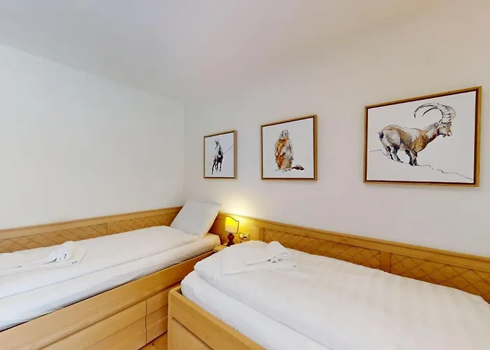 Apartmán Balcun Tort 11 *